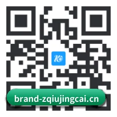 iPhone 与 iPad 专享端 二维码